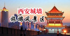 叉逼,操逼。视频网站下载。中国陕西-西安城墙旅游风景区