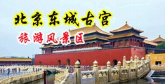 破处在线视频破处中国北京-东城古宫旅游风景区
